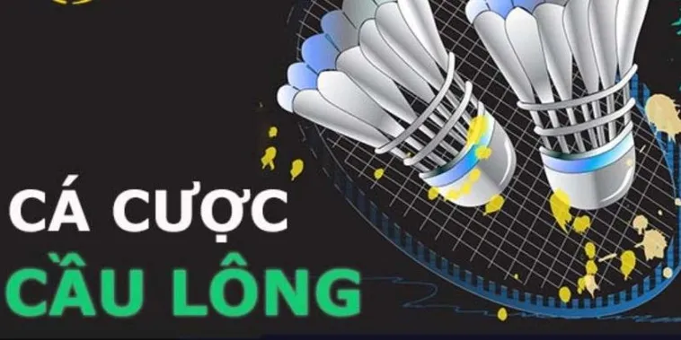 Cách Chơi Cá Cược Cầu Lông Tại 88GO: Chinh Phục Tỷ Lệ Thắng Cao