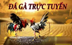 Khám Phá Cách Chơi Đá Gà GA28 Tại 88GO: Giải Trí Hấp Dẫn