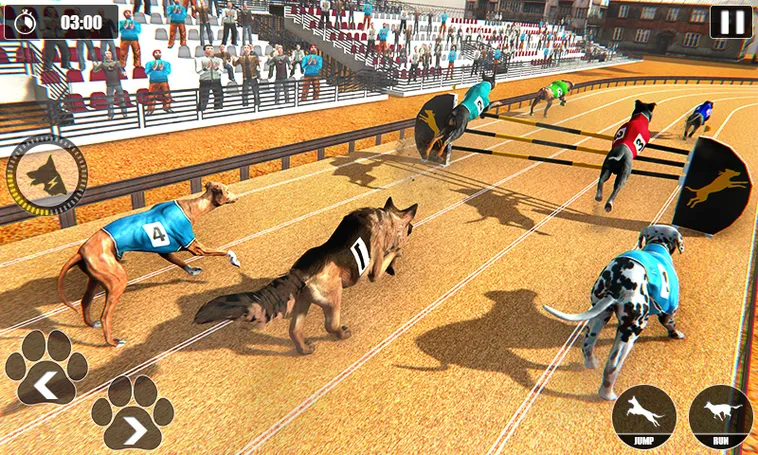 Cách Chơi Game Nhanh Đua Chó Tại 88GO: Bí Quyết Thắng Cược
