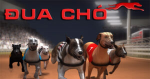 Cách Chơi Game Nhanh Đua Chó Tại 88GO: Bí Quyết Thắng Cược